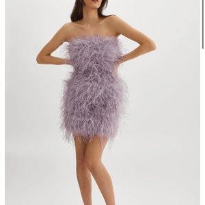 Lamarque feather dress